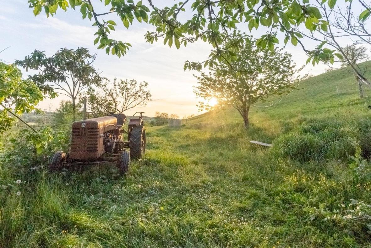 Ferme Renovee Villa Le Fossat Dış mekan fotoğraf